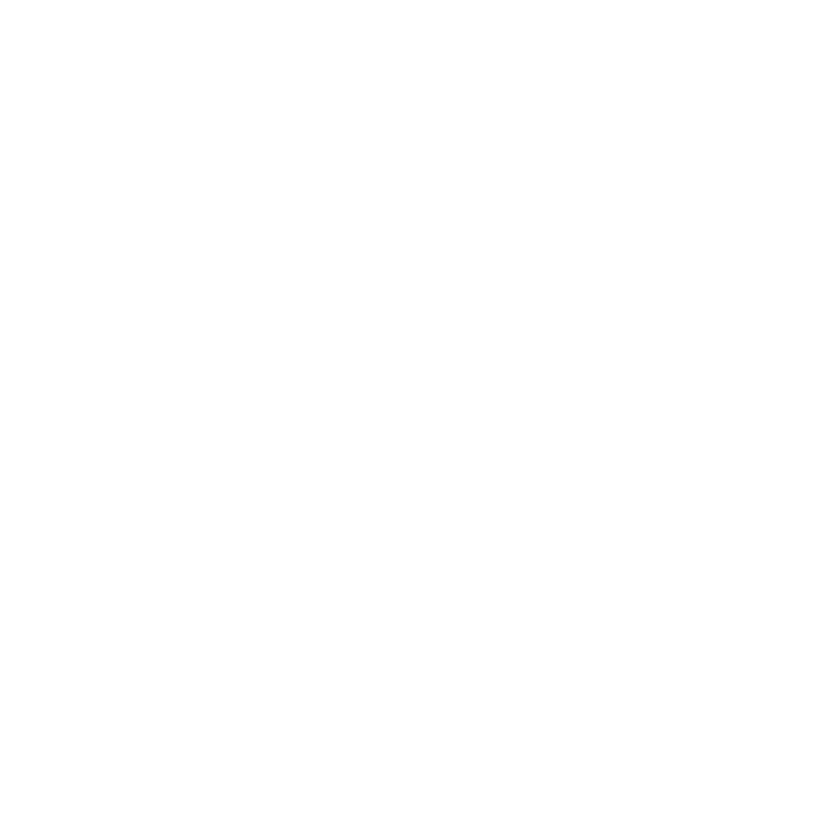 Georgia Tech Premier League